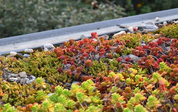 the cost of Flint green roof installation