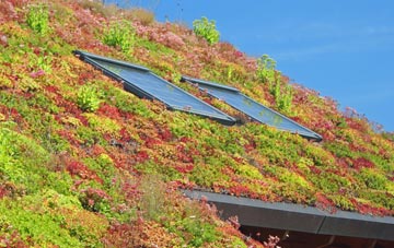 Flint living roof systems