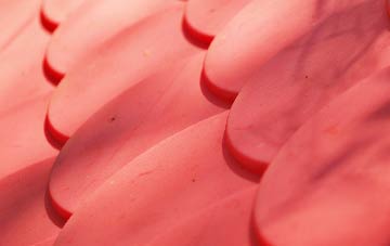 Flint plastic roof costs