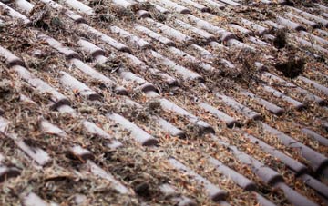 Flint roof cleaning companies