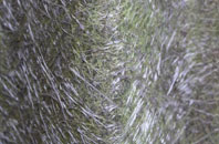 Flint fibreglass roof work